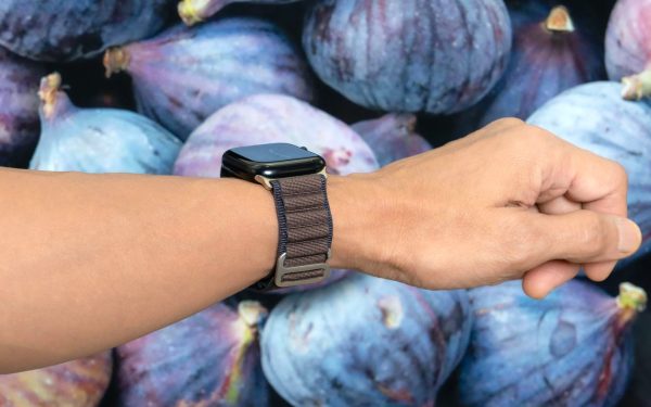 Torrii Watch 49/46/45/44 Mm Solar Strap - Fig - Tashqila